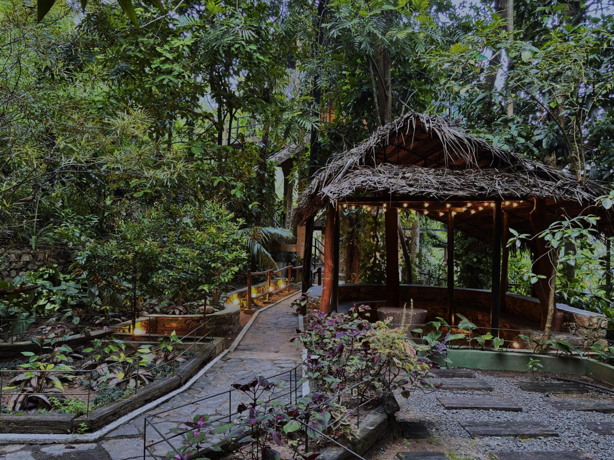 Arana Sri Lanka Eco Lodge And Yoga Center Ella Zewnętrze zdjęcie